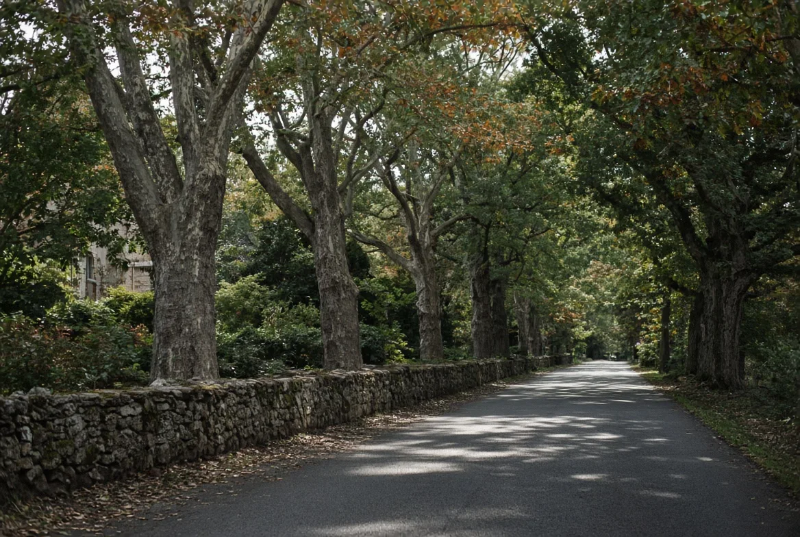 A tree-lined Pennsylvania neighborhood in autumn